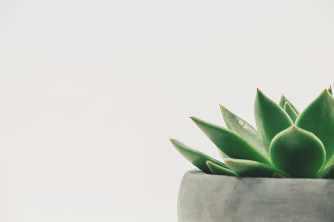 10 Superfoods That Will Transform Your Daily Diet